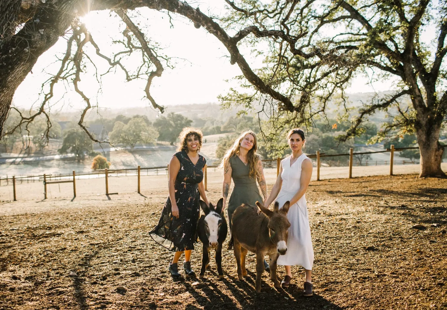 Quiet Luxury Xena Dress in Protection Spell