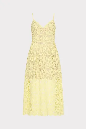 Relaxed Look Classic and Chic Elle Lace Midi Dress