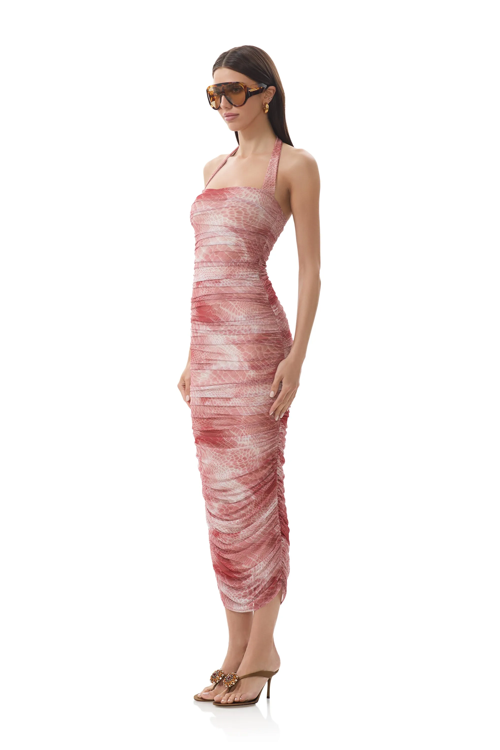 Clear Blush Indina Dress - Rust Snake