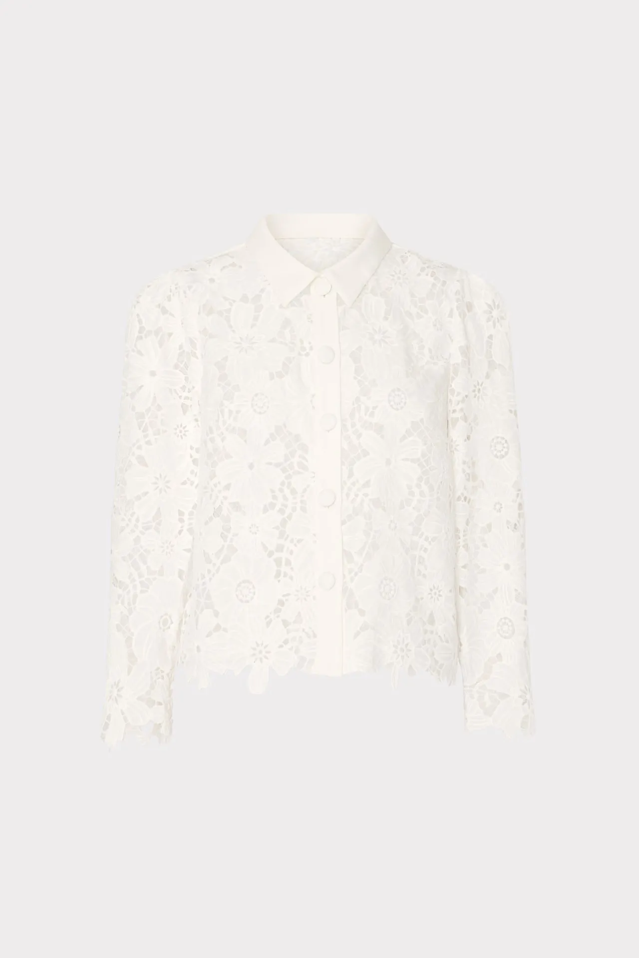 June Roja Lace Top Sustainable Cotton