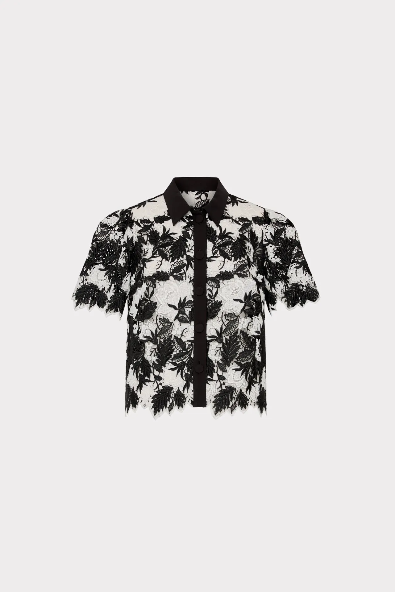 ButterSoft Handfeel Addison Two Tone Lace Top