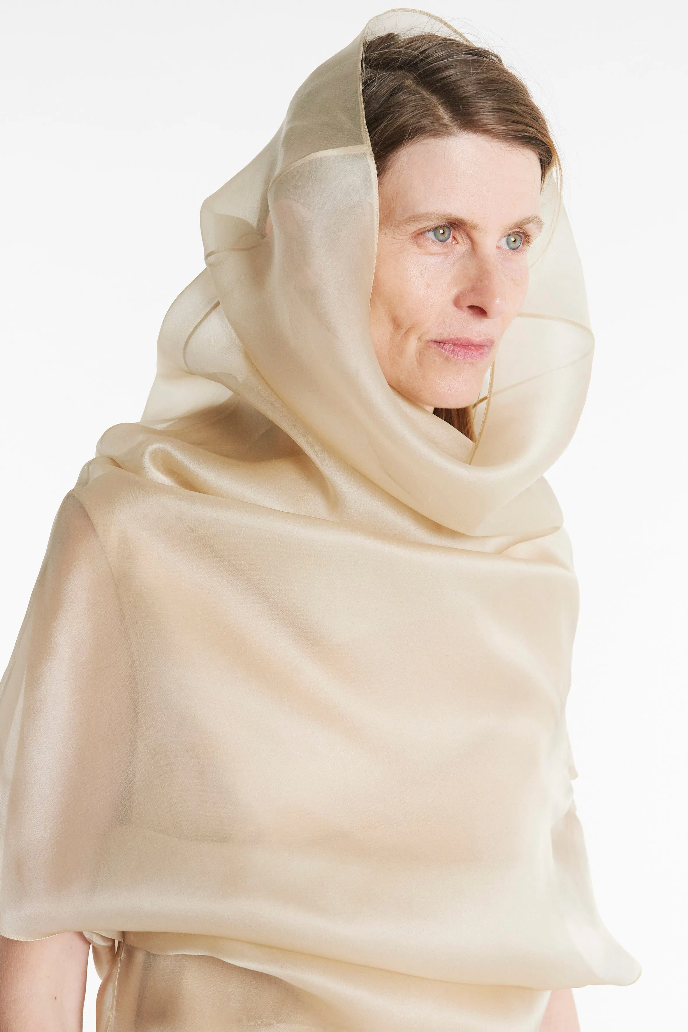 Breathable Comfort Organza Dress Champagne