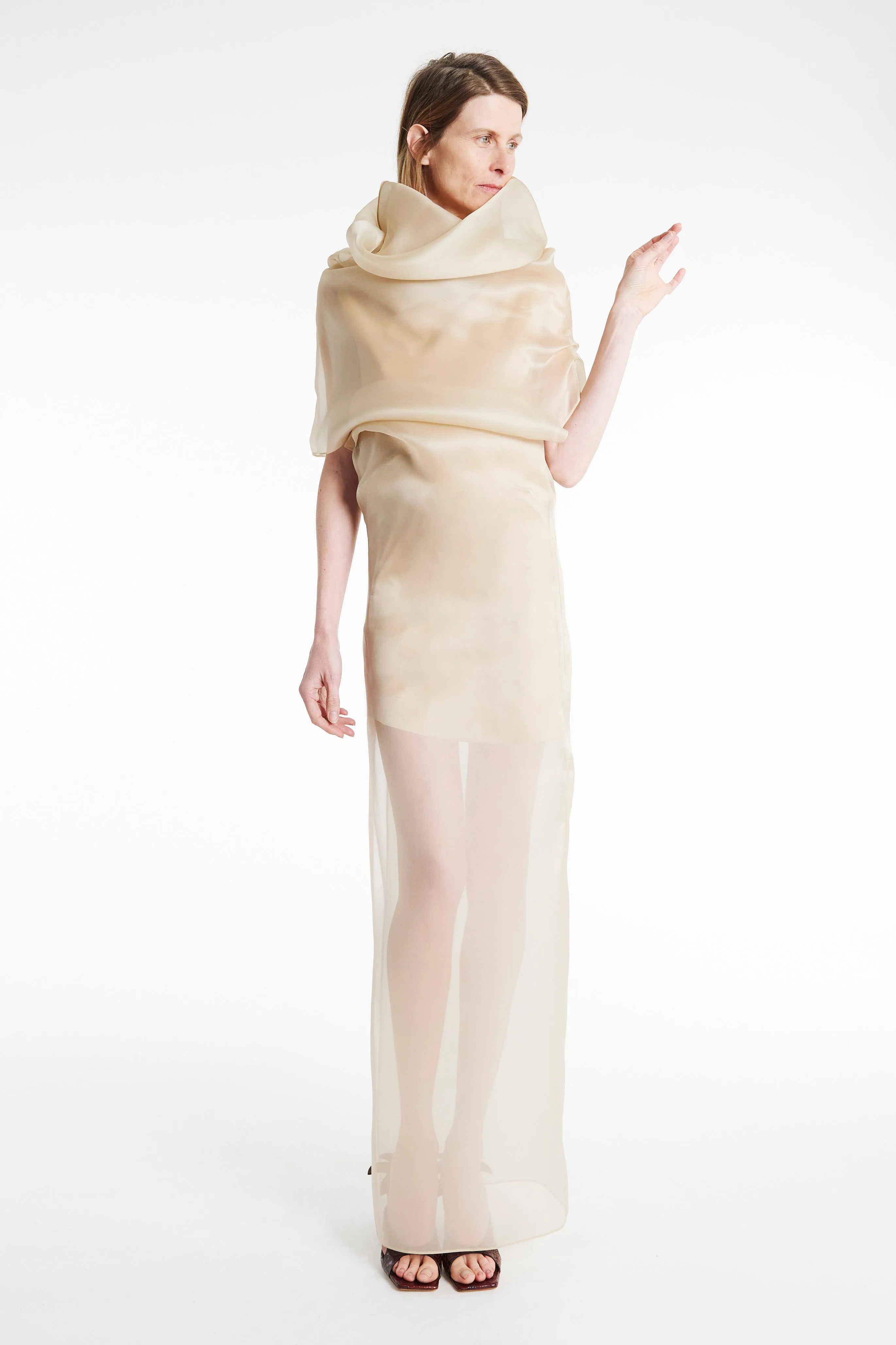 Organza Dress Champagne Chill Style Light Drape