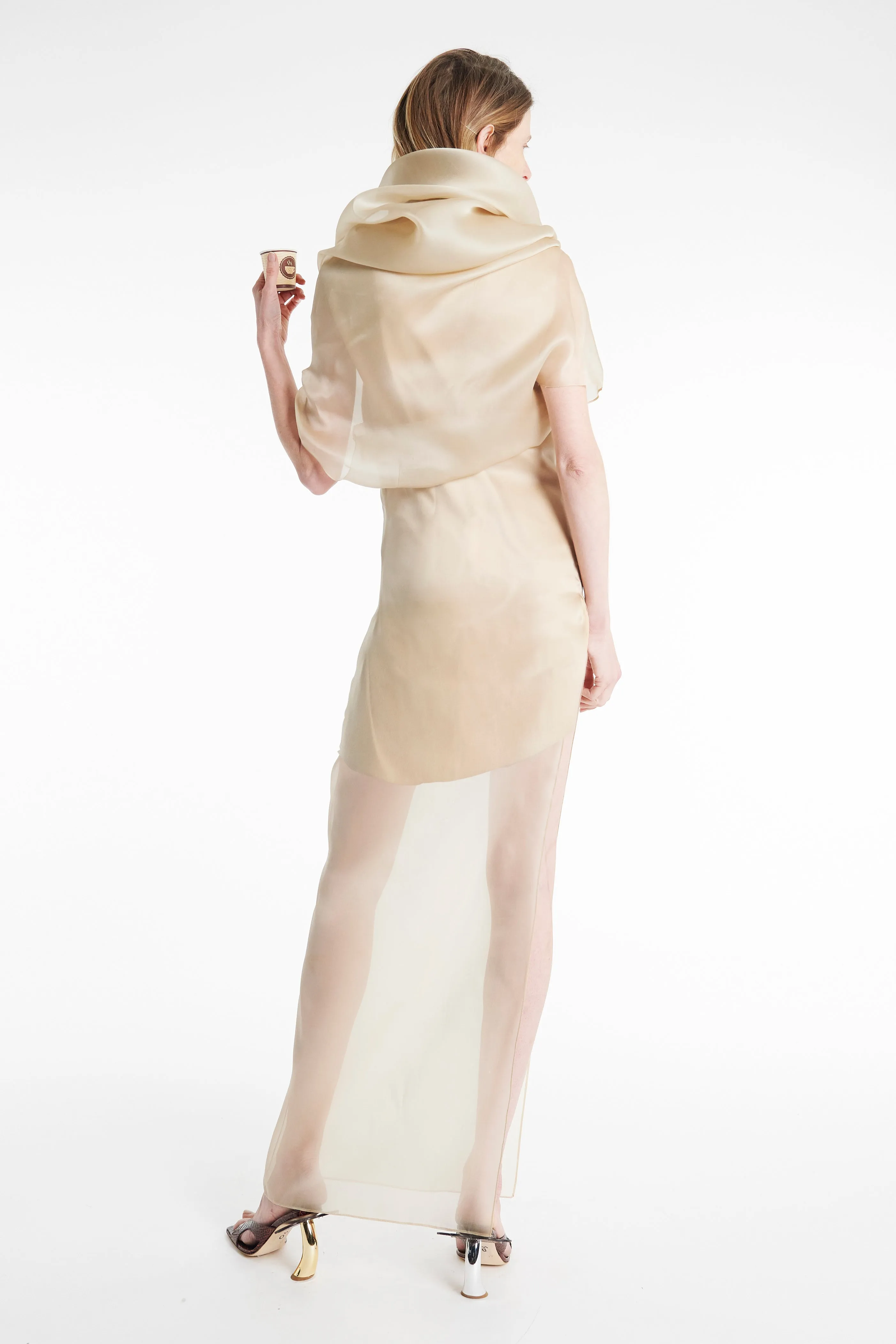 Form Fitting Organza Dress Champagne
