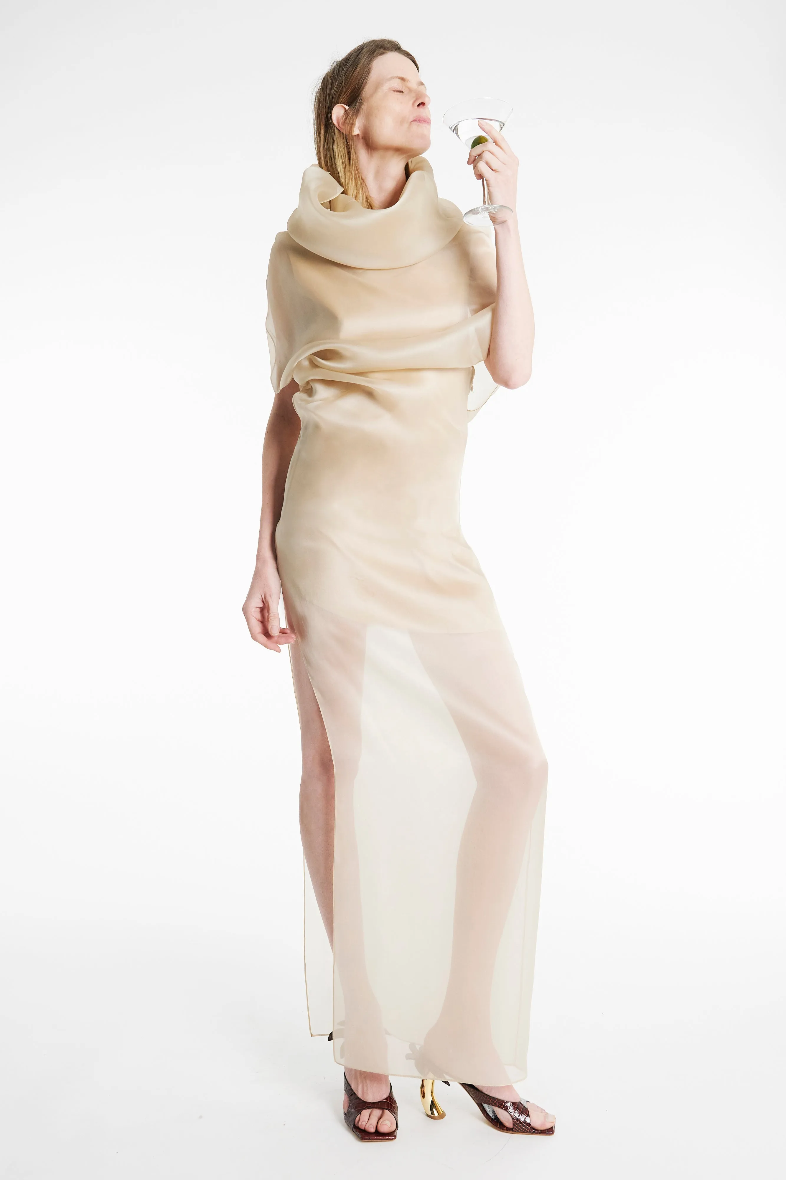 Organza Dress Champagne Light Fit