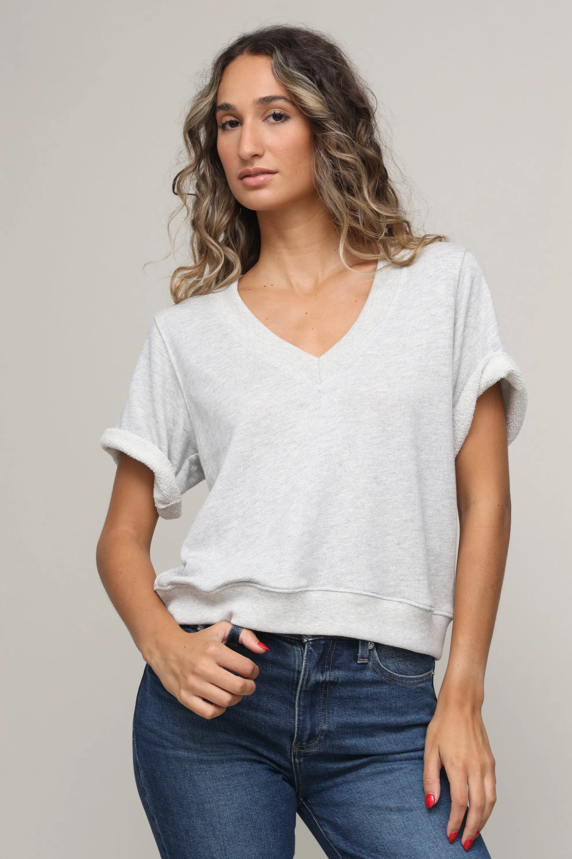 Briggs French Terry Sweatshirt Button Down Collar